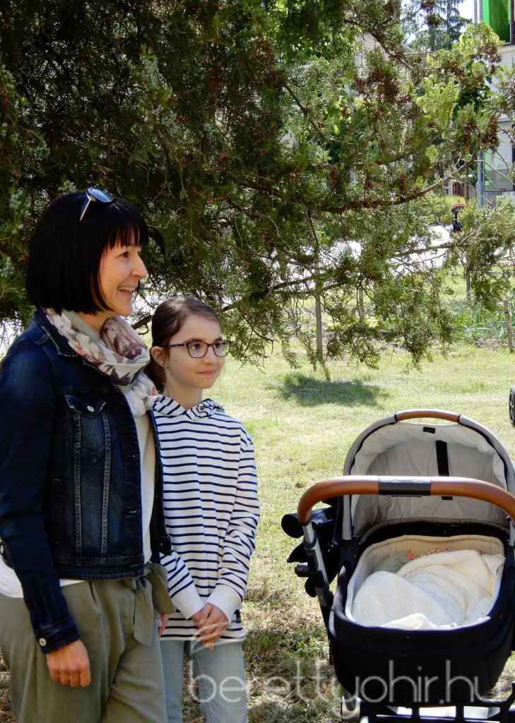 Életfa ültetés a város napján 41